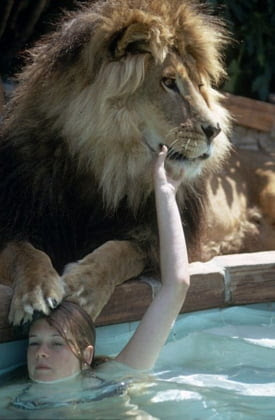 Leu Melanie Griffith