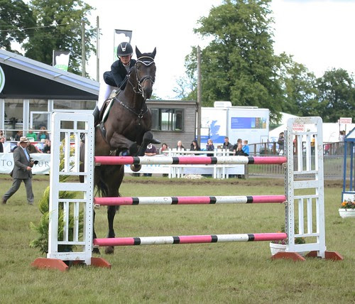 Showjumping