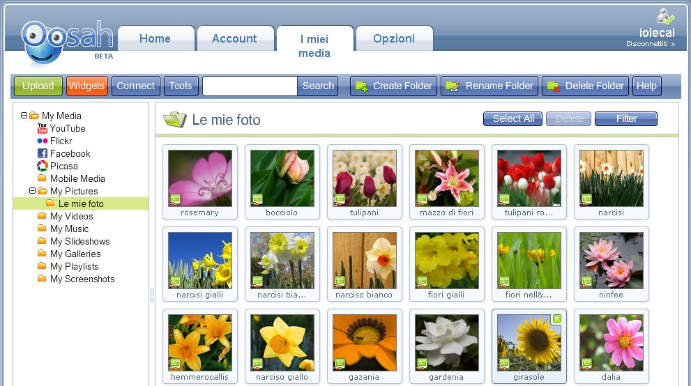 interfaccia grafica di oosah.com