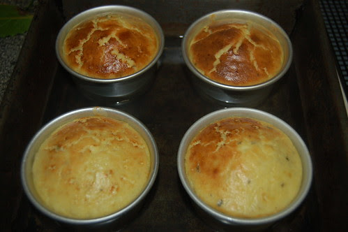 artichoke puree in egg and cream Feb 13