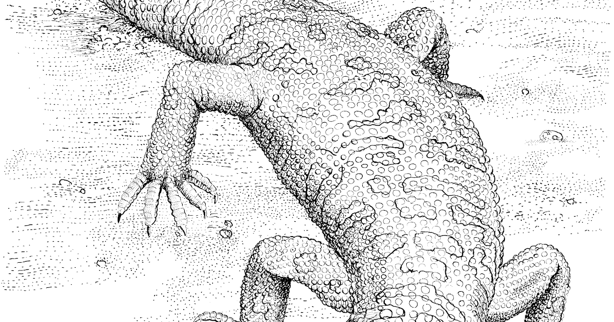 532 Simple Gila Monster Coloring Page with Animal character