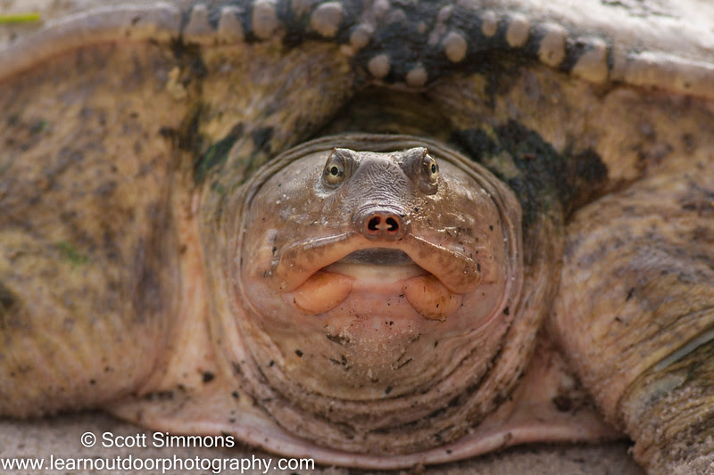 Photo & Video Sharing by SmugMug Photo & Video Sharing by SmugMug