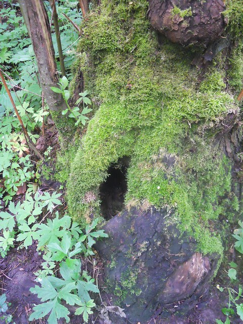 spring2011 316