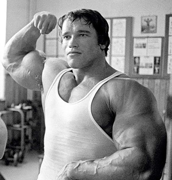 Arnold Schwarzenegger Net Worth Weight Height Ethnici - vrogue.co