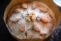Pan Dulce 245