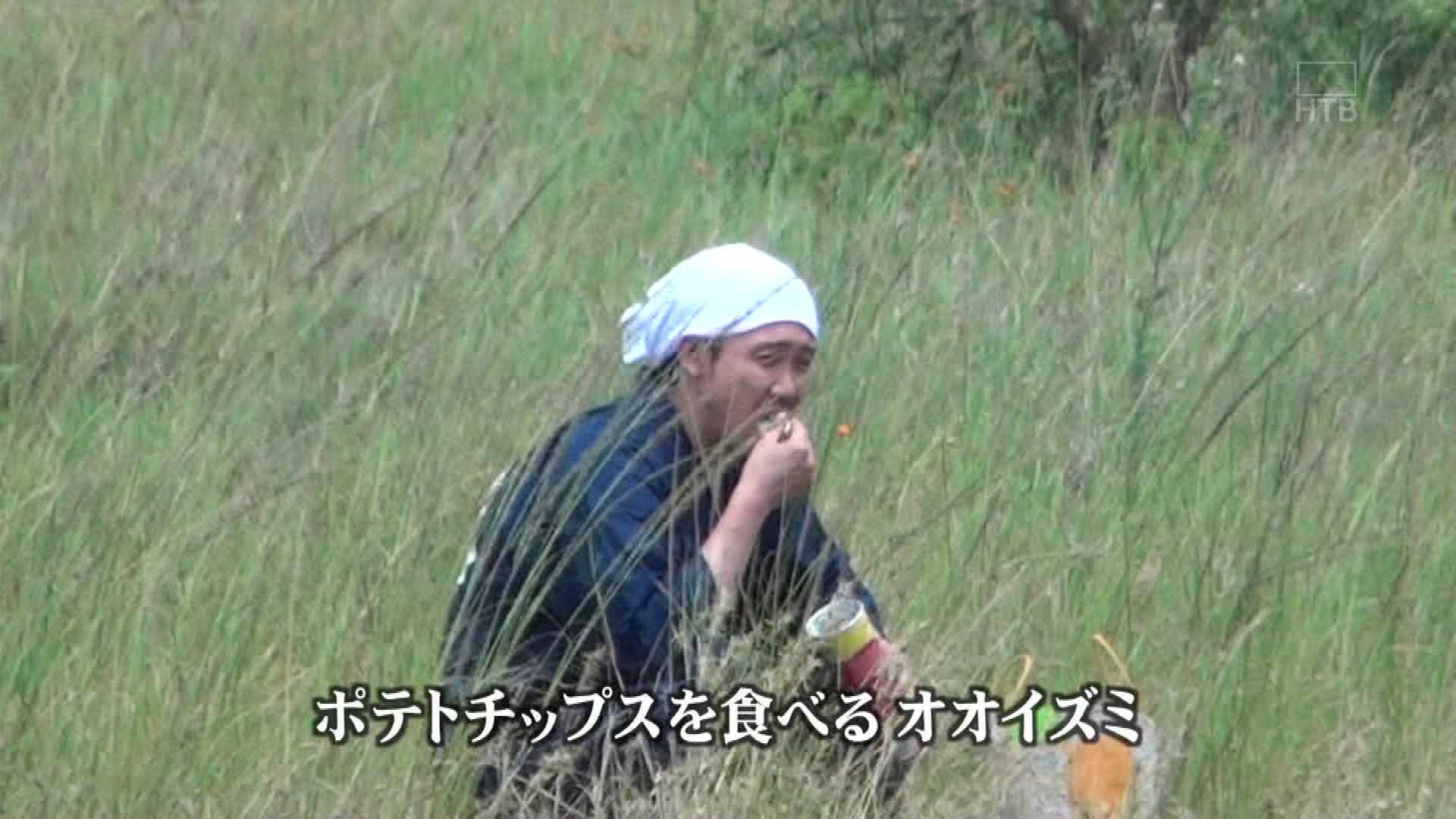 アニメ画像について 元の水曜どうでしょう 壁紙