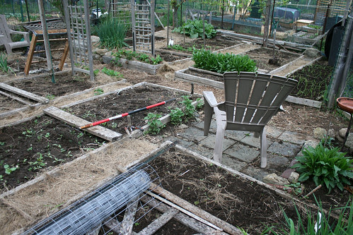 spring garden plot 012