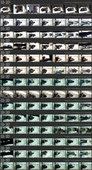 ShareVoyeur 296-312