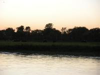 Free Image Hosting at www.ImageShack.us
