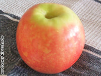 Apple1