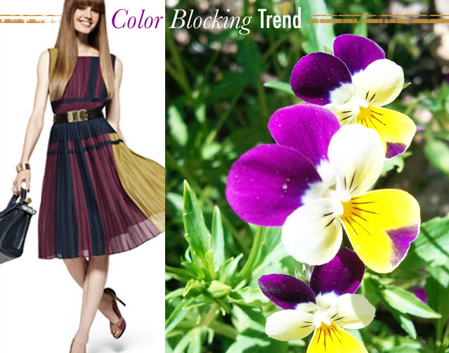 Colorblocking-by-Nature-Purple-Yellow