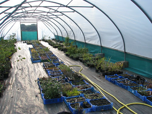 Inside the tunnel