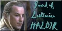 I am Haldir!