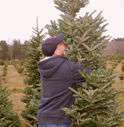 Tree Hunt 5