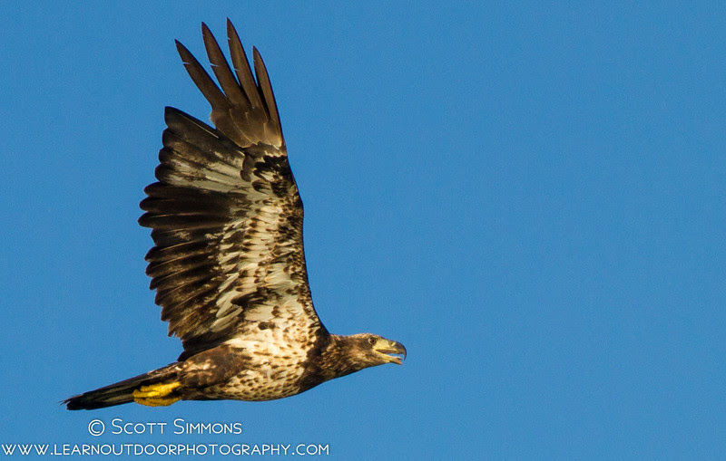Photo & Video Sharing by SmugMug Photo & Video Sharing by SmugMug
