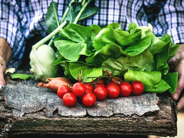 Fajarv: Protein Foods List In Tamil Pdf