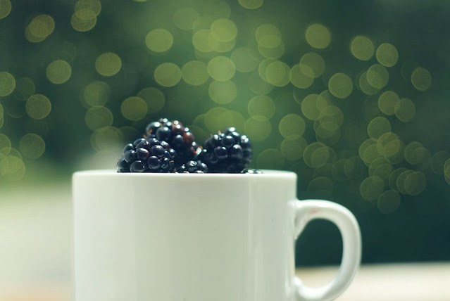 Boysenberries Patagónicos