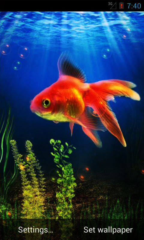 Goldfish Live Wallpaper Android App - Free APK by andapplique