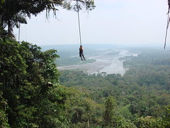 Karla Flying Out Over the Canopy