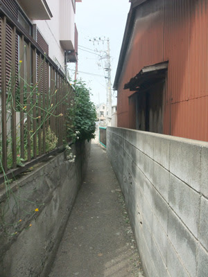 道2