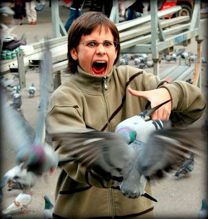 Acid Picdump (88 pics) Acid Picdump (88 pics)