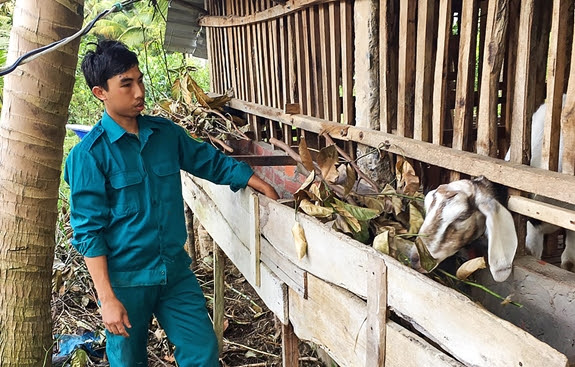 Nguồn vốn nhỏ, hiệu quả lớn