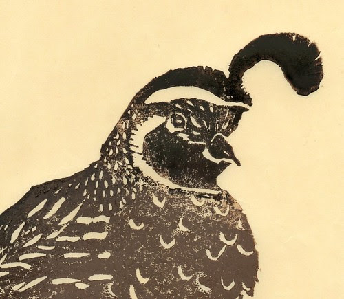 Quail face linocut detail