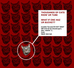 LOLcat's Londonmeowing