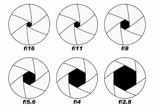 You want to learn how to use it properly, right? Let’s have a look.