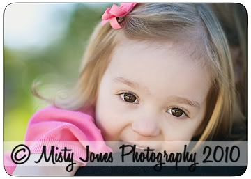 Tampa family portrait photographer,seffner family portrait photographer,south tampa family portrait photographer,north tampa family portrait photographer,custom portrait photographer