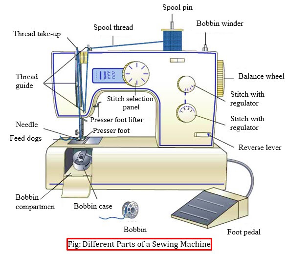 Different Parts of a Sewing Machine and Their Function - TextileStudyCenter
