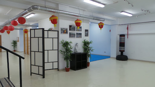 Shaolin Kung fu school Madrid