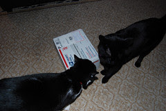 A Box!