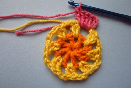 IMG_3243 IMG_3243