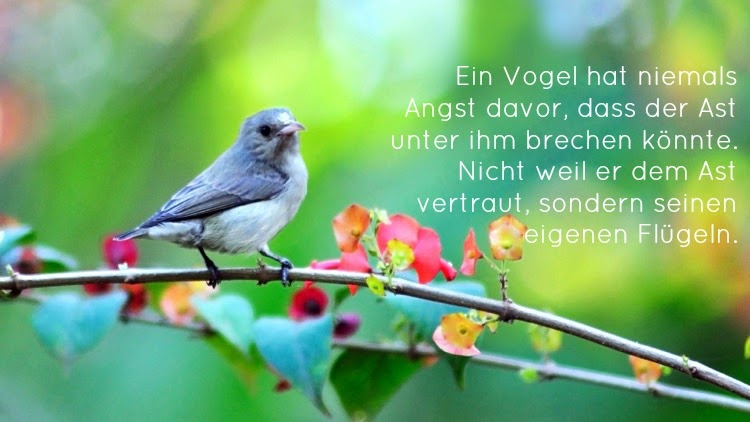 Mut Mach Sprüche Für Kinder