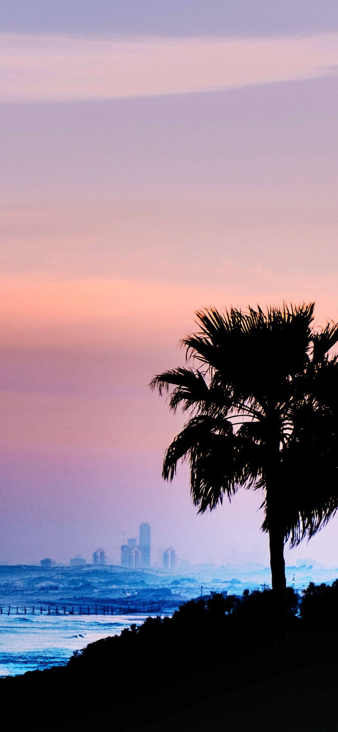 1080p Images: Iphone X Wallpaper 4k Palm Tree