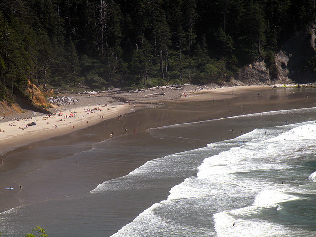Crowded Oswald West Beach
