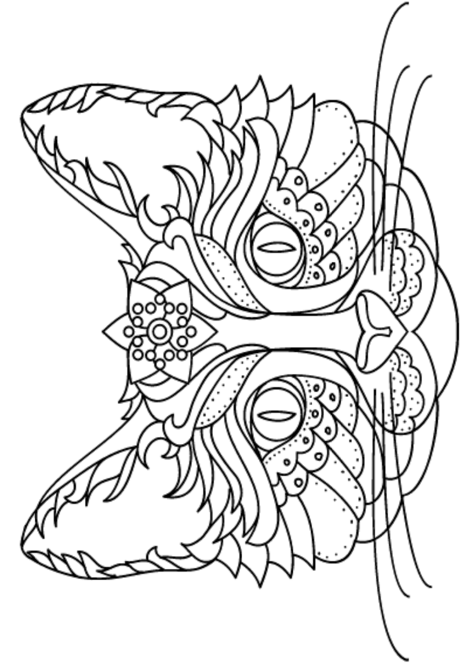 Printable Cat Face Coloring Page - 318+ Popular SVG File