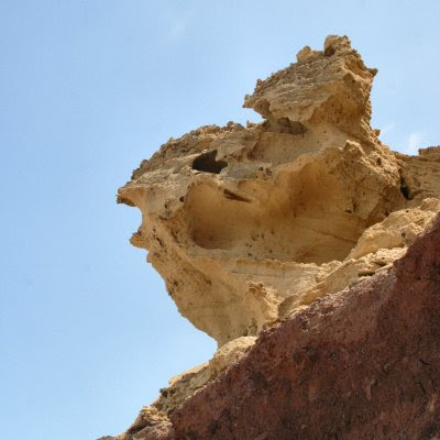 200605027-vs-0555