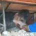 उत्तराखंड पुलिस को सलाम, मकान ढहने से दबे मासूमों को सुरक्षित निकाला