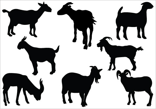 Goat File Nubian Goat Face SVG File