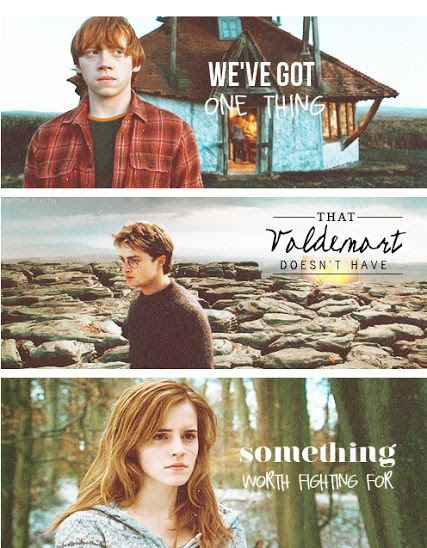 "We've got one thing that Voldemort doesn't have something worth fighting for." - Harry Potter