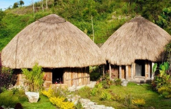 Gambar Rumah Adat Papua Kartun