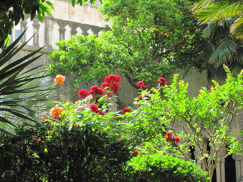 The garden of the Franciscan monastery in Dubrovnik