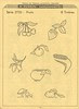 timbrescaoutchouc p74