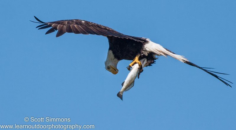 Photo & Video Sharing by SmugMug Photo & Video Sharing by SmugMug