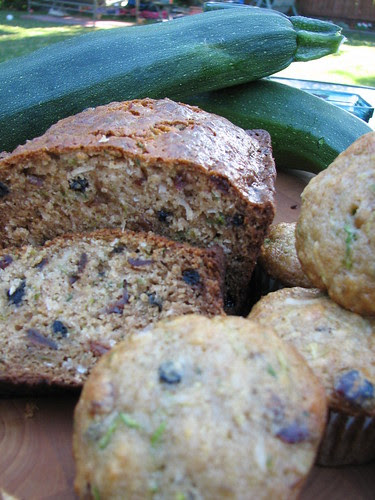 Coconut Zucchini Bread & Muffins