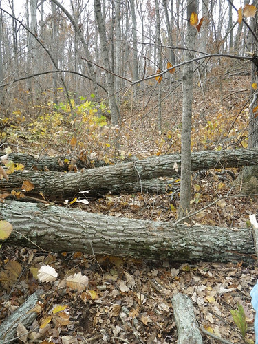 logjam