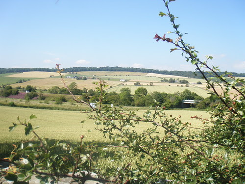 view north to farmland