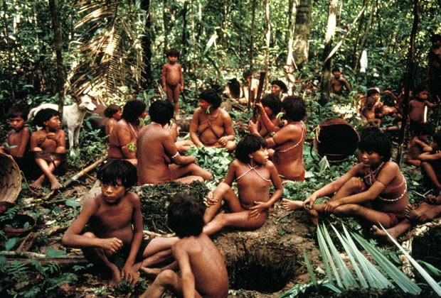 Fotos de arquivo da tribo ianomâmi feitas pela ONG Survival International (Foto:  ONG Survival International)